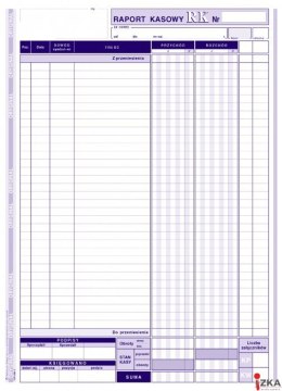 410-1 Raport Kasowy A4 80 kartek MICHALCZYK I PROKOP