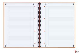 Kołonotatnik A4 80 kartek, linia / tagi, INTERNATIONAL, OXFORD, 100104036