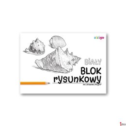 Blok rysunkowy A4 20k 90g biały SPA013