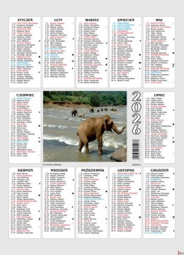 Kalendarz plakietka BESKIDY 25x35 cm mix wzorów