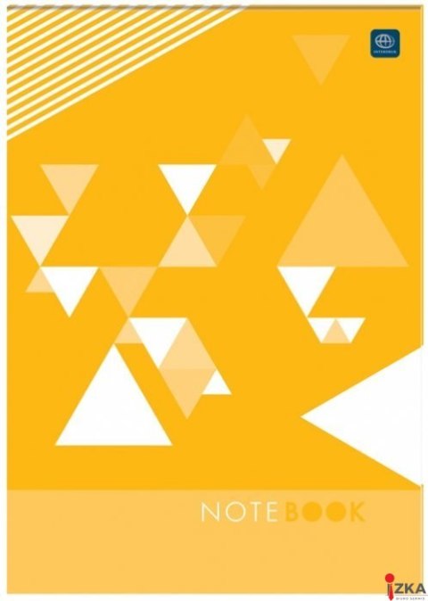 Blok w kratkę A6 100 kartek Interdruk