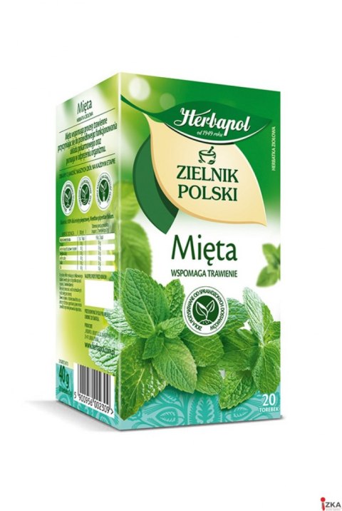 Herbata HERBAPOL ZIELNIK POLSKI mięta (20 torebek)