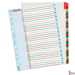 Przekładki kartonowe MYLAR A4 MAXI 1-31 ESSELTE 100210