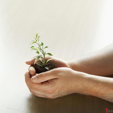 Bloczki ekologiczne POST-IT_ Z-Notes (C2014Y12-1), 76x76mm, 12x100 kart., żółte + podajnik GRATIS