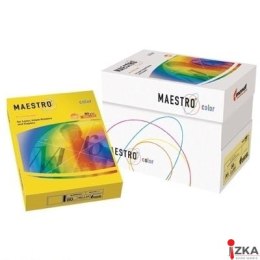 Papier A4 160g kość słoniowa 250a BE66 MAESTRO COLOR pastel